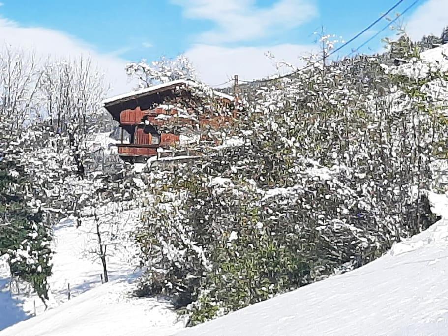 Mountain Chalet 메이른호픈 외부 사진
